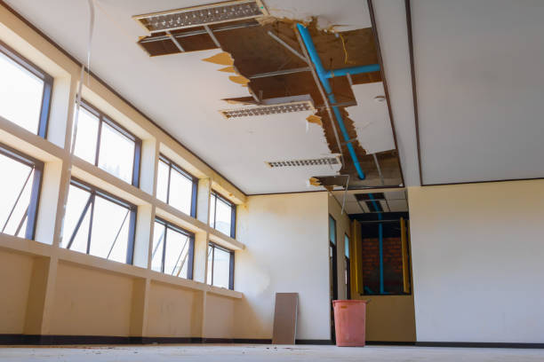 Best Water damage cleanup near me  in Hamlet, NC