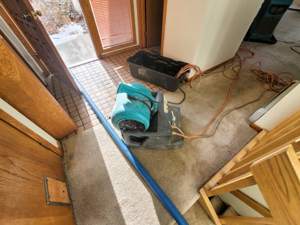Best Local water damage restoration  in Hamlet, NC