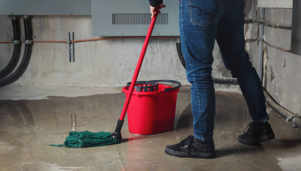 Best Professional water damage repair  in Hamlet, NC