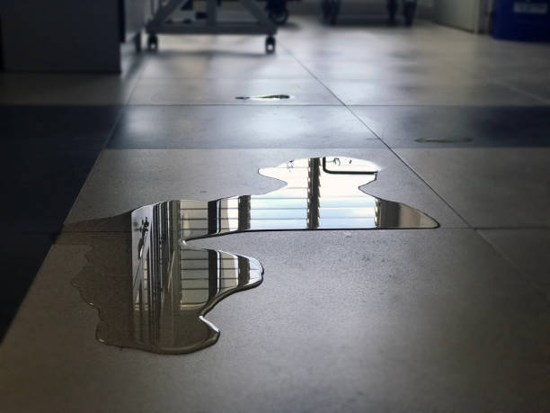 Best 24-hour water damage restoration  in Hamlet, NC