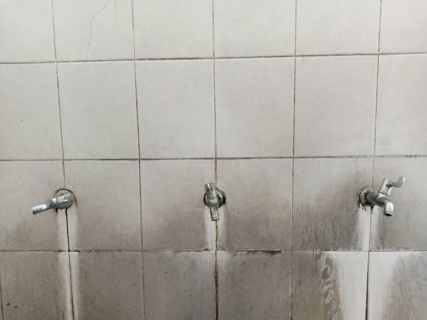 Best Residential water damage restoration  in Hamlet, NC