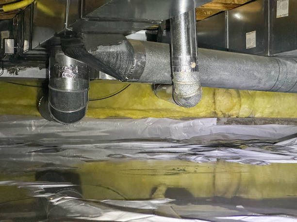 Best Professional water damage repair  in Hamlet, NC