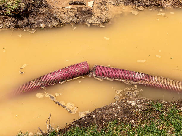 Best Water damage restoration near me  in Hamlet, NC