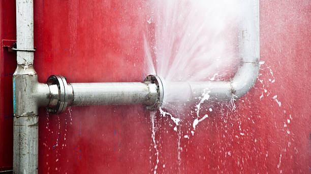 Best Mold removal after water damage  in Hamlet, NC