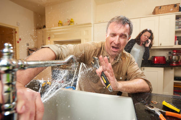 Best Water damage restoration mold remediation  in Hamlet, NC